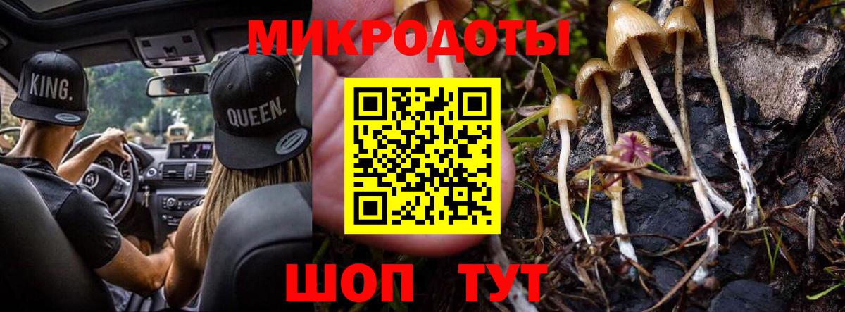 Псилоцибиновые грибы Psilocybe Грязи