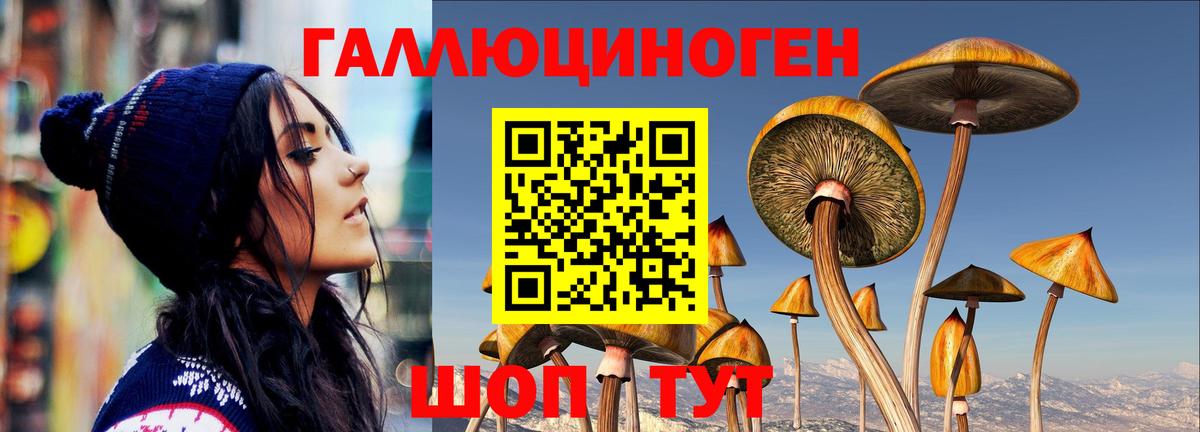 Грязи  Галлюциногенные грибы мицелий  Вход с VPN 